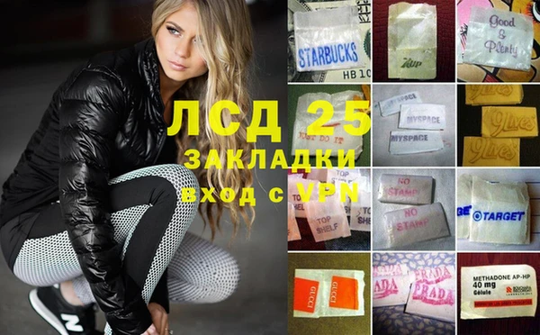 spice Алзамай