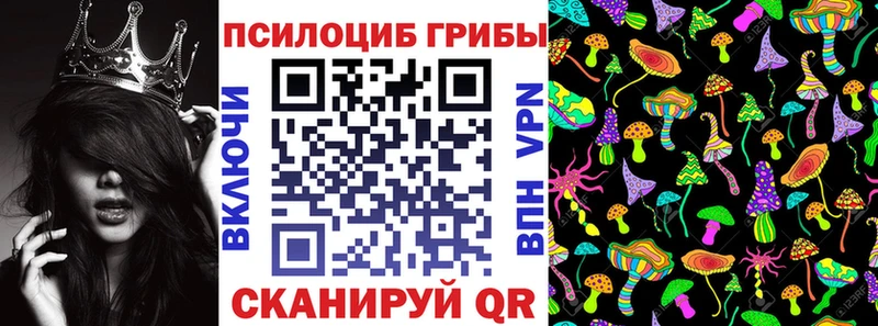 цены   Сенгилей  Галлюциногенные грибы мицелий 